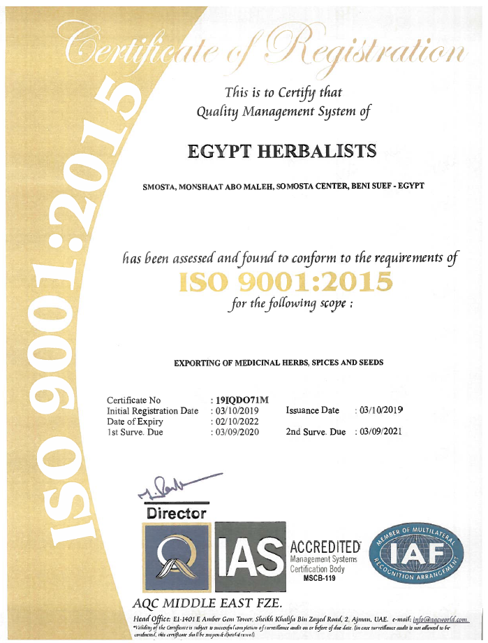 Certification 1